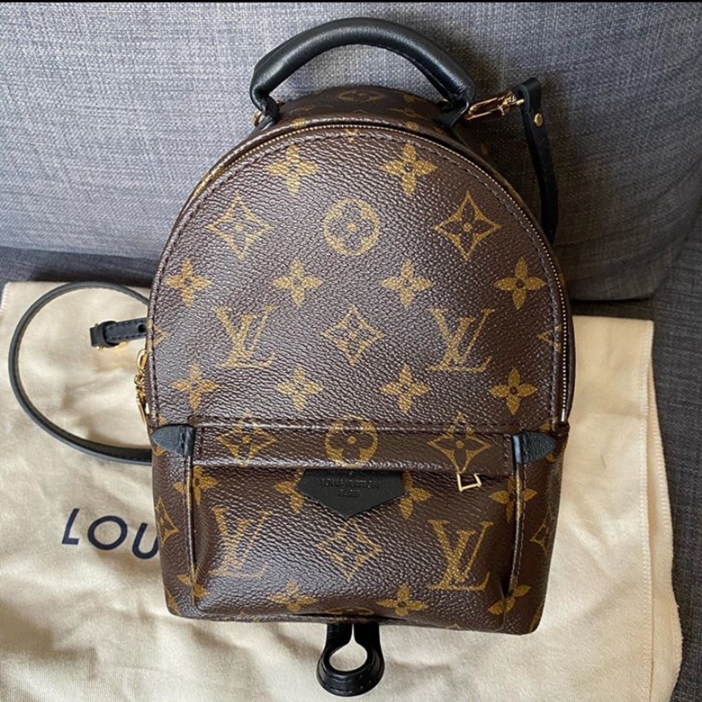 Louis Vuitton Palm Springs mini